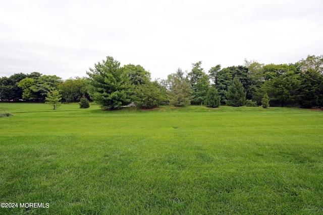 26 Aspen Ln, Tinton Falls, NJ 07724 - view of yard
