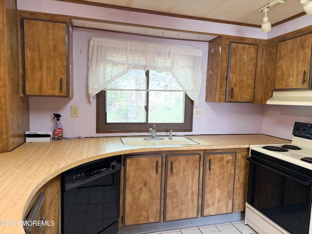 kitchen with a sink, range with electric stovetop, dishwasher, light countertops, and under cabinet range hood
