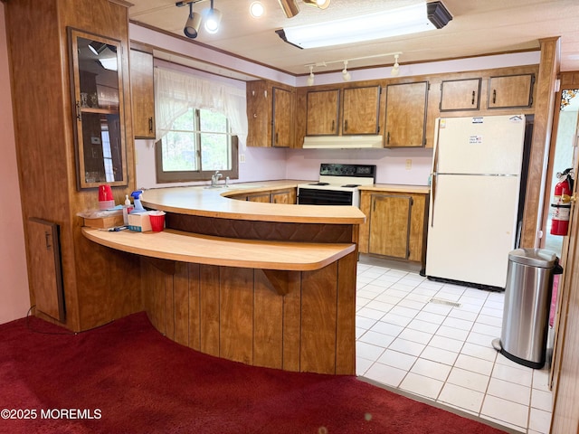 kitchen featuring freestanding refrigerator, electric stove, track lighting, and under cabinet range hood