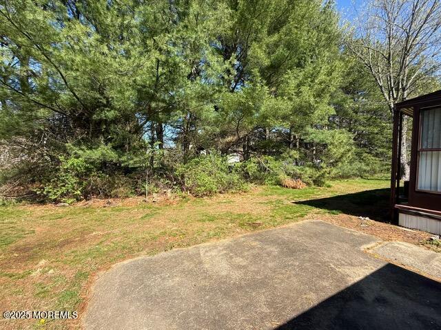 view of yard featuring a patio