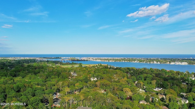 aerial view of property and surrounding area with a heavily wooded area and a large body of water