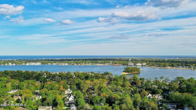 aerial overview of property's location featuring a nearby body of water and a tree filled landscape