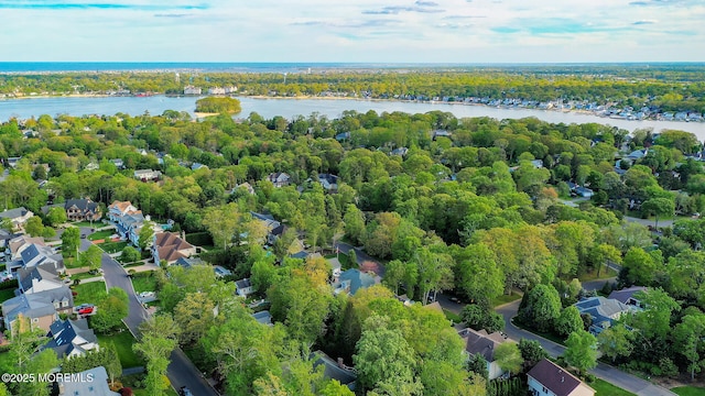 bird's eye view of a large body of water and a heavily wooded area