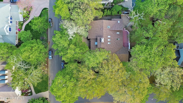 aerial view