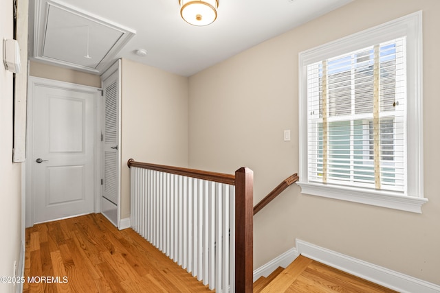 91 Cookman Ave, Ocean Grove, NJ 07756 - hall featuring an upstairs landing, attic access, light wood-style floors, and healthy amount of natural light