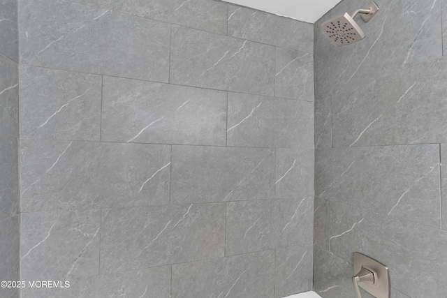 room details with a tile shower