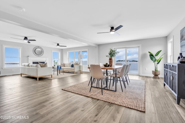 dining room featuring a ceiling fan, wood finished floors, and baseboards