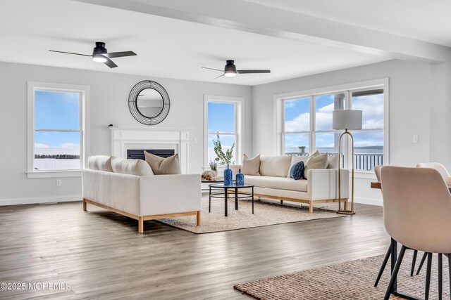 living room with ceiling fan, plenty of natural light, wood finished floors, and a fireplace
