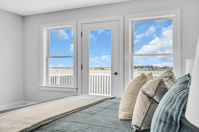 bedroom featuring access to outside, multiple windows, and carpet