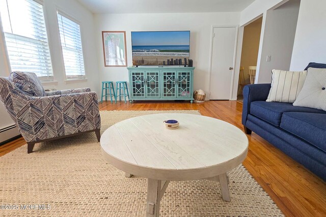 living area featuring wood finished floors