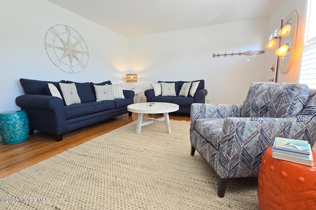 living room featuring wood finished floors