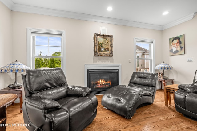 4 Friendship Ln, West Long Branch, NJ 07764 - living area with wood finished floors, healthy amount of natural light, ornamental molding, recessed lighting, and a glass covered fireplace