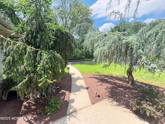 785 Bennetts Mills Rd, Jackson, NJ 08527 - view of grassy yard