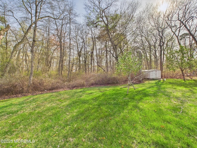 view of yard featuring an outdoor structure and a storage shed