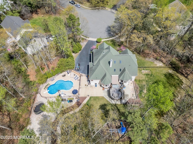 bird's eye view