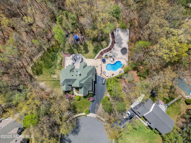 bird's eye view