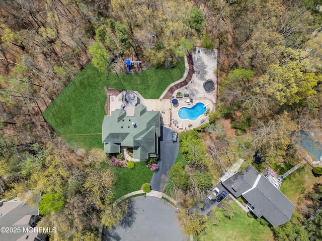 drone / aerial view