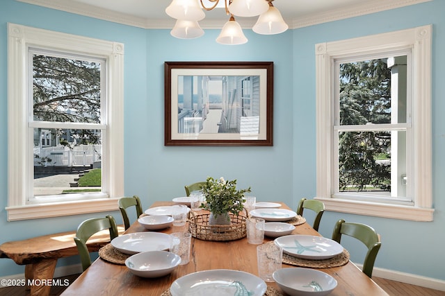 dining room featuring healthy amount of natural light, baseboards, and ornamental molding