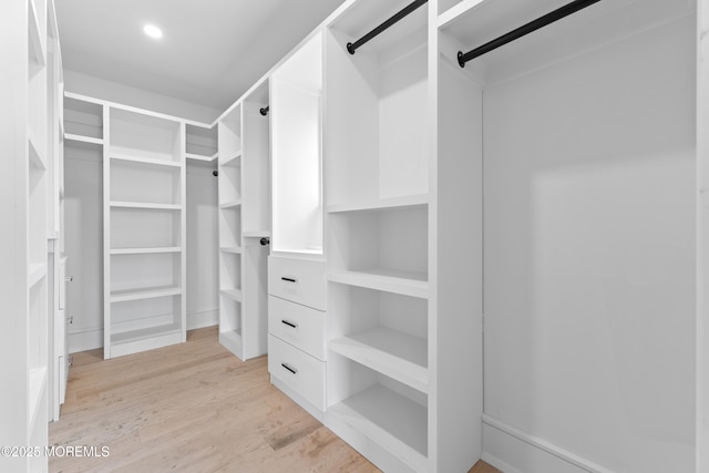 18 Seaview Ave, Long Branch, NJ 07740 - walk in closet featuring light wood-style flooring