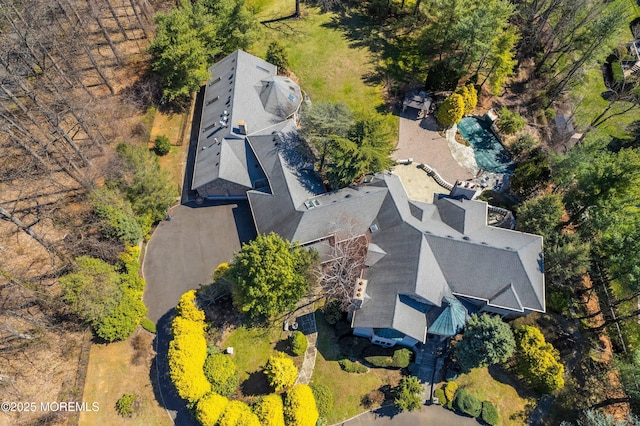 drone / aerial view