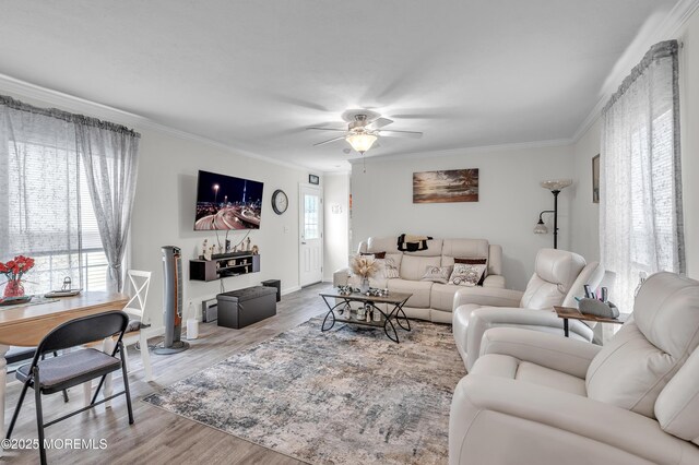 179 Mockingbird Way, Whiting, NJ 08759 - photo 10