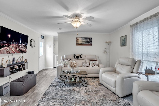179 Mockingbird Way, Whiting, NJ 08759 - photo 12