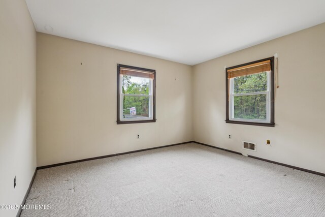 empty room with plenty of natural light, light carpet, and baseboards