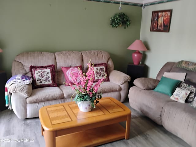 53 Pine Ridge Blvd, Whiting, NJ 08759 - living area featuring wood finished floors