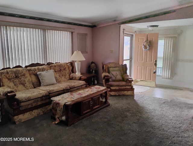 53 Pine Ridge Blvd, Whiting, NJ 08759 - living area with baseboards