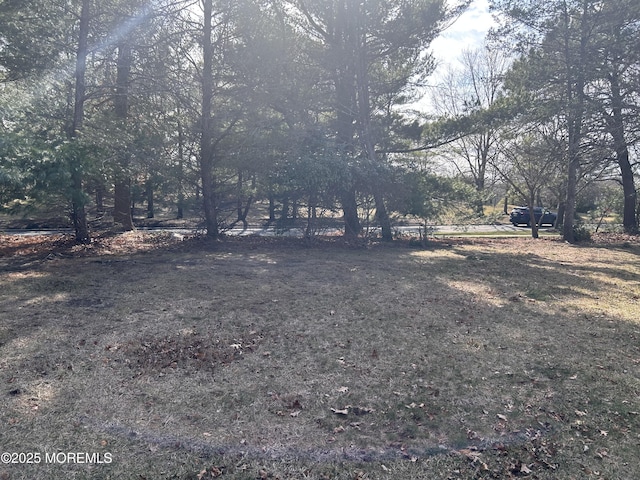 1499 Serrata Way, Toms River, NJ 08755 - photo 22