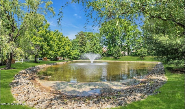 439 Sophee Ln, Lakewood, NJ 08701 - view of water feature