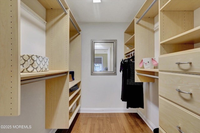 walk in closet with light wood-style flooring