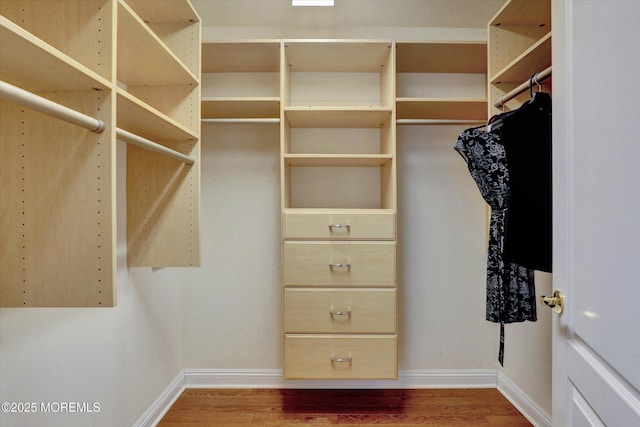 spacious closet featuring wood finished floors
