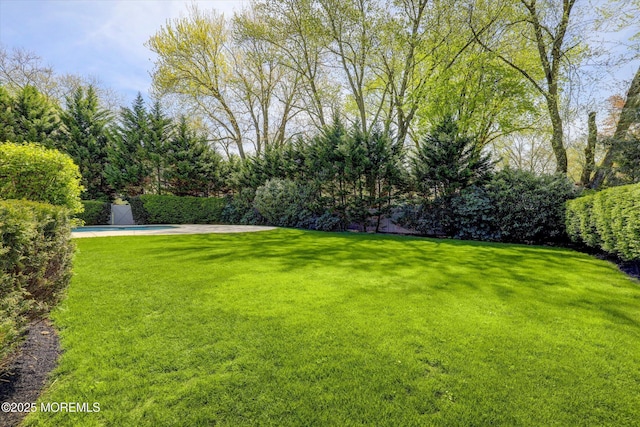 view of yard with an outdoor pool