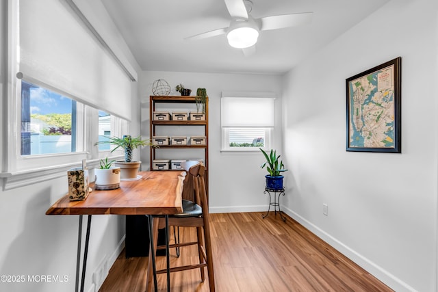 dining space with wood finished floors, healthy amount of natural light, a ceiling fan, and baseboards