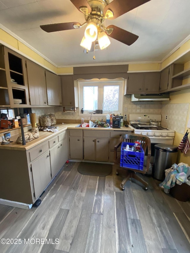 18 Arneytown Hornerstown Rd, Cream Ridge, NJ 08514 - kitchen with light countertops, open shelves, under cabinet range hood, a sink, and light wood finished floors