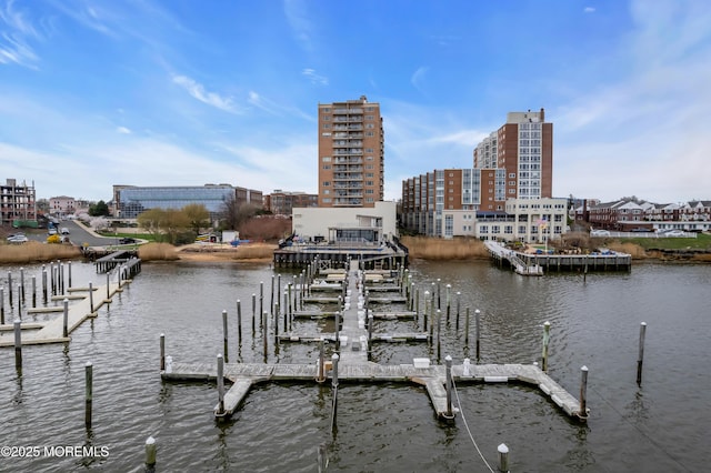 28 Riverside Ave Unit 1H, Red Bank, NJ 07701 - view of dock featuring a city view and a water view