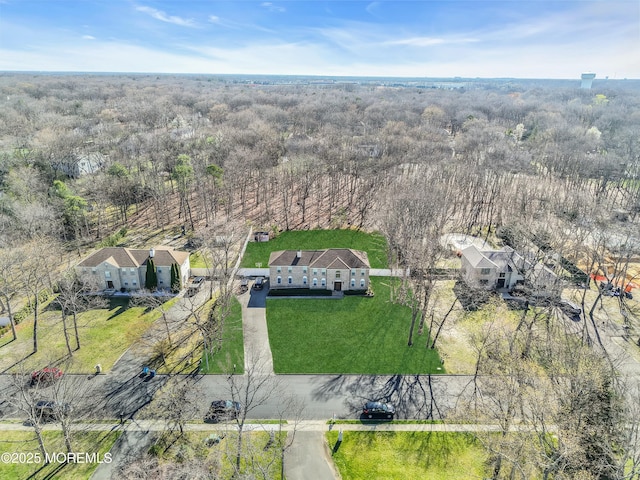 drone / aerial view of a forest