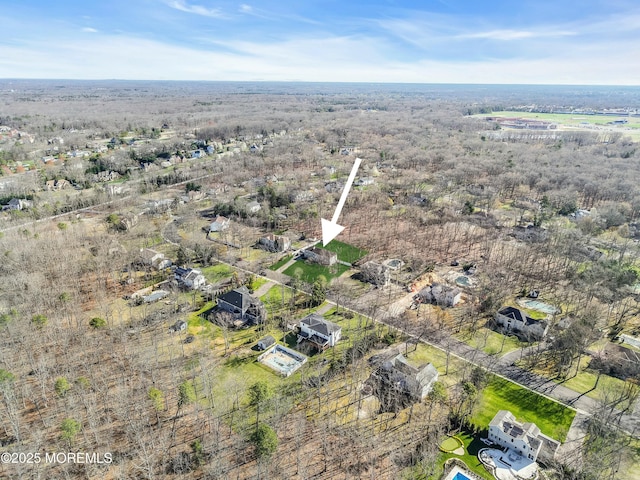 drone / aerial view