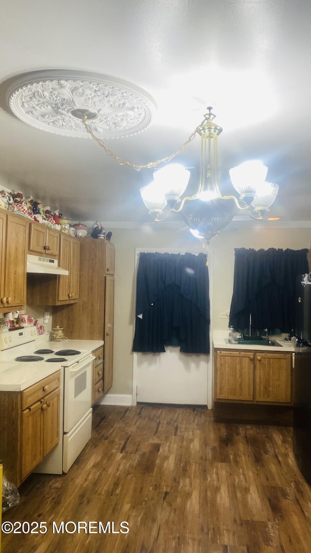 37D Cambridge Ct Unit 100D, Lakewood, NJ 08701 - kitchen with white range with electric cooktop, under cabinet range hood, brown cabinetry, dark wood-type flooring, and light countertops