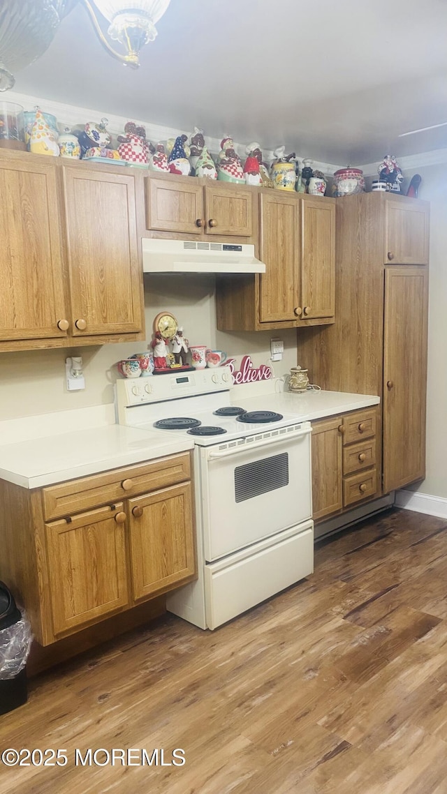 37D Cambridge Ct Unit 100D, Lakewood, NJ 08701 - kitchen with white electric stove, under cabinet range hood, light countertops, and wood finished floors