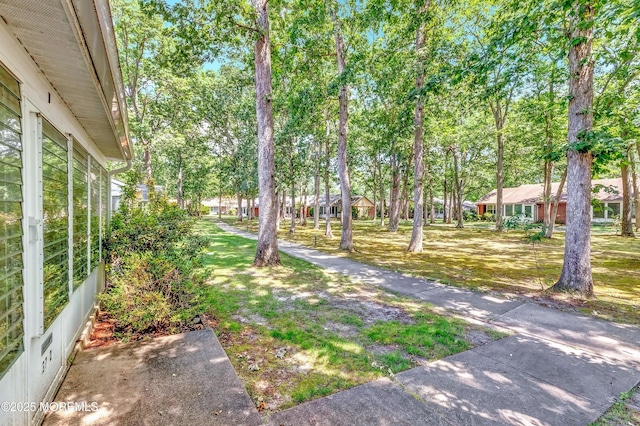 37D Cambridge Ct Unit 100D, Lakewood, NJ 08701 - view of yard featuring view of scattered trees
