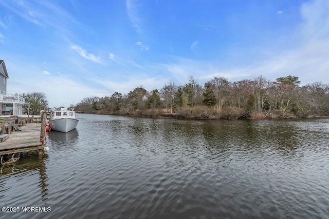 dock area featuring a water view
