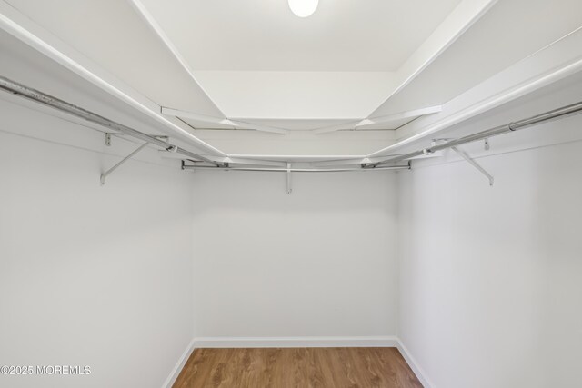 9 Weybridge Pl, Manchester, NJ 08759 - walk in closet featuring wood finished floors