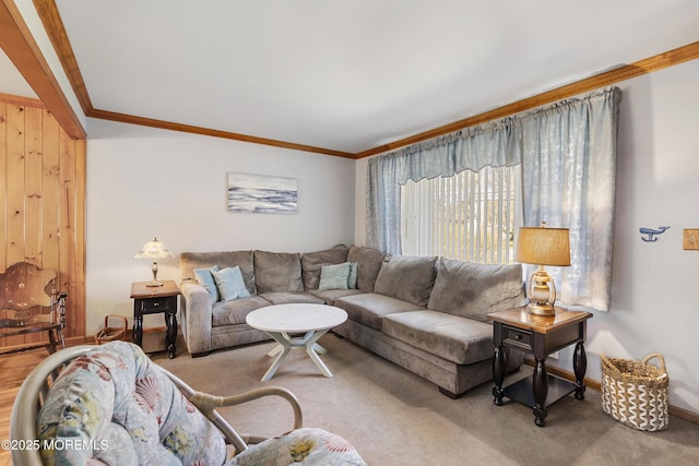 living area with ornamental molding, carpet, and baseboards
