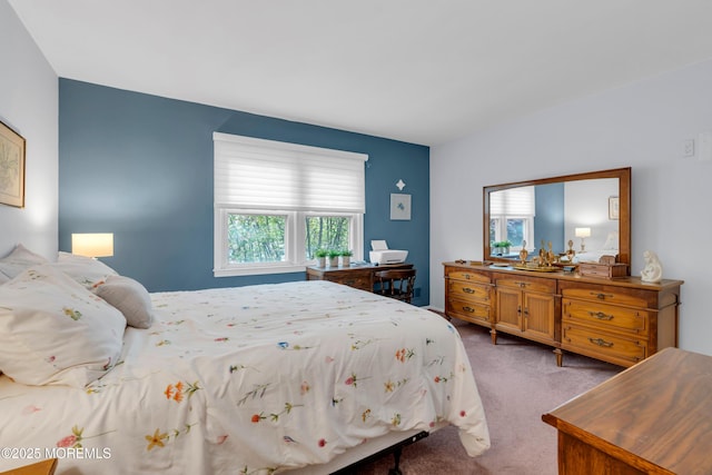bedroom featuring carpet floors and multiple windows