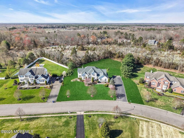 bird's eye view