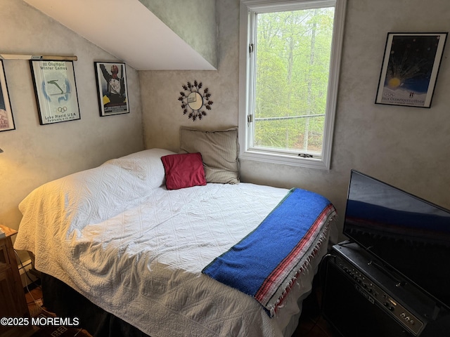 206 Lake Ave, Island Heights, NJ 08732 - bedroom with vaulted ceiling