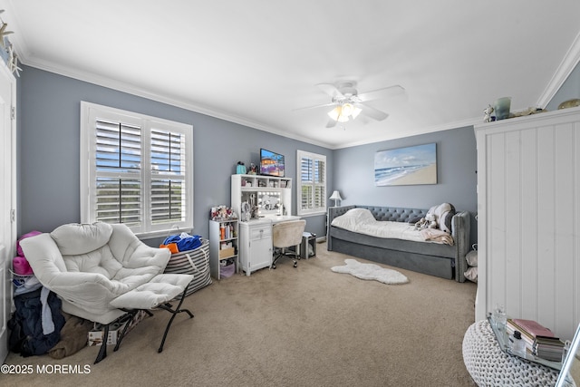 5 Breckenridge Ct, Freehold, NJ 07728 - bedroom with multiple windows, crown molding, and carpet