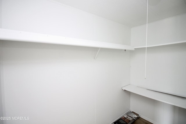 walk in closet with wood finished floors